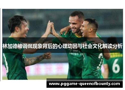 林加德被调侃现象背后的心理动因与社会文化解读分析 林加德被调侃现象背后的心理动因与社会文化解读分析