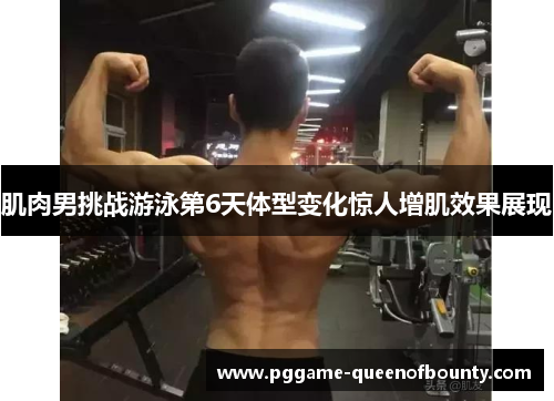 肌肉男挑战游泳第6天体型变化惊人增肌效果展现