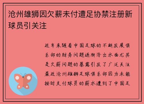 沧州雄狮因欠薪未付遭足协禁注册新球员引关注 沧州雄狮因欠薪未付遭足协禁注册新球员引关注